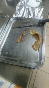 Pojana Maggiore - Marcia di Natale - 22.12.2019